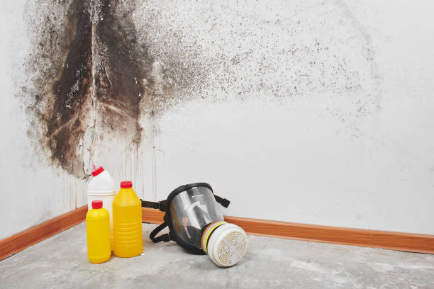 Best Crawl Space Mold Removal  in Woodville, MS