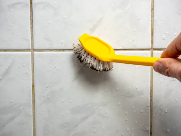 Best Residential Mold Removal  in Woodville, MS