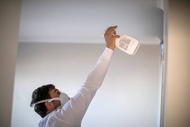 Best Commercial Mold Removal  in Woodville, MS