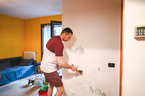 Professional Mold Removal in Woodville, MS